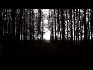 Blutengel - Dein Leben