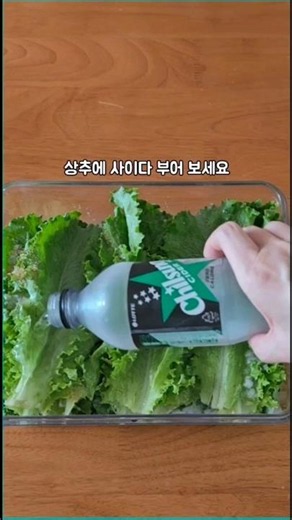 How to Make Super Simple Lettuce Pickles #LettuceWaterKimchi #LettucePickles #LettuceKimchi
