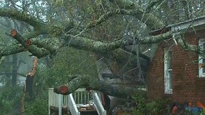 Florence topples tree killing mother, infant