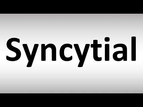 How to Pronounce Syncytial