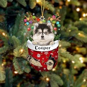 NAZENTI Pesonalized Pomsky in Snow Pocket Ornament Flat 2D, Custom Name Pomsky Ornament for Christmas Tree, Dog Christmas Ornament, Xmas Gifts for Dog Lover, Family, Friend, Dog Car Ornament