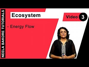 Biology For NEET & AIIMS | Ecosystem - Energy Flow