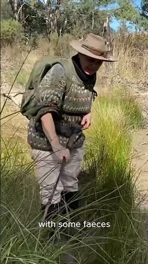 Evidence of rakali at Carrawa Creek | BCT Conservation Agreement