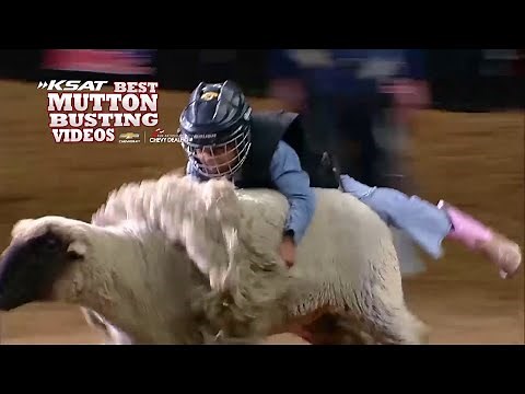 Little cowgirls show off their Mutton Busting skills