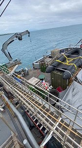 NAVY DIVERS PREPARING FOR WHAT THEY DO BEST, DIVING!! - #USNavyDivers #usnavy #diving #militarysealiftcommand #msc #civmar #maritime #mariner #lifeatsea #sealife #explorer #usmerchantmarine #merchantmarine #seafarer #seaman #sailor #buhaymarino #sailing #military #navyships #ExploreTheWorld #highlightseveryone #viewers #socialmedia #shortvideo #contentcreator #followers #foryoupageシ#fypシviralシ2024 #fypシ゚viralシfypシ゚ #fypシ #fypシ゚viralシ2024fyp #fypviralシ #fypシ゚viralシfypシ゚viralシalシ #fbvideo #usa #Sm