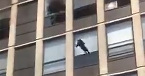 Cat survives jump from 5th floor of burning Chicago building