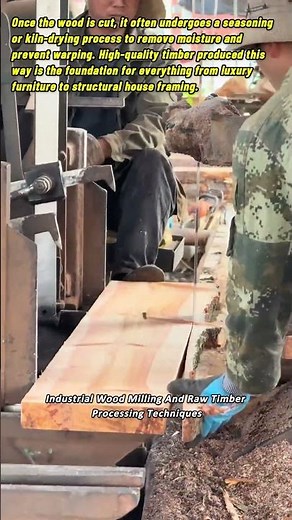 Industrial Wood Milling And Raw Timber Processing Techniques