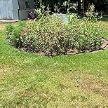 360 Degree Metal Spot Sprinkler,Small Sprinkler Garden for Small Areas Lawn Sprinklers for Yard Circle Pattern with Gentle Water Flow Garden Watering (1, Blue)