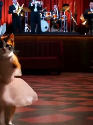 This will make you smile. Promise. #dance #catsoftiktok #relatable #funnycats #fyp #shorts
