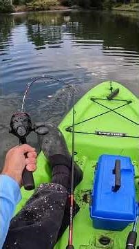 Chain Pickerel are Gamefish! #fishing #pov #kayakfishing #catchandrelease #freshwaterfishing