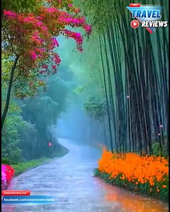 2.1K views · 154 reactions | One travel reviews on Reels | Facebook