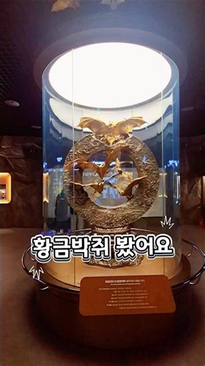전라남도 함평여행 가볼만한곳 '추억공작소' 황금박쥐도 보고 과거로의 여행도 떠나보세요