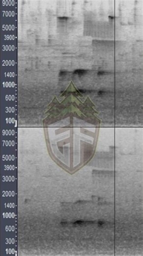 This sound repeated 3 times and it's SO strange!