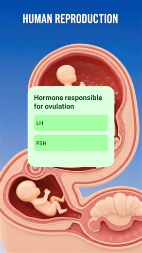 Human Reproduction 🔥 Most Repeated NEET MCQs | 1 Question = 4 Marks 😱#biology
