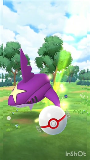 and another shiny sharpedo from mega raid 😱