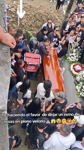 Videos de luisao (@luisqu2) con “sonido original - luisao”