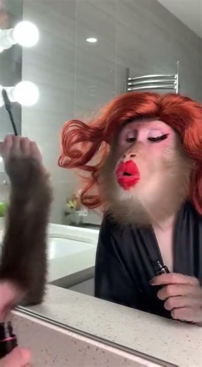 OMG SUCH A GOOD MONKEY DIVA #funny #monkey