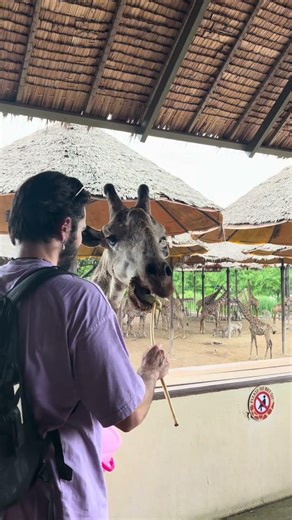 Thailand has some of the most amazing nature 🇹🇭