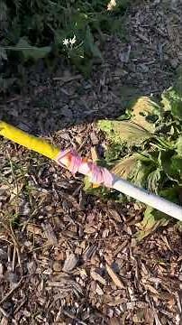Homemade weed killer with vinegar, water, and Dawn. Does it work? #weeds #garden #gardening #diy
