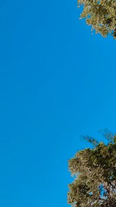 336K views · 6.9K reactions | Pyar tujhe karta hun dekh | Ranjita Kumari 508 | Facebook