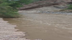 Families survive flash flood