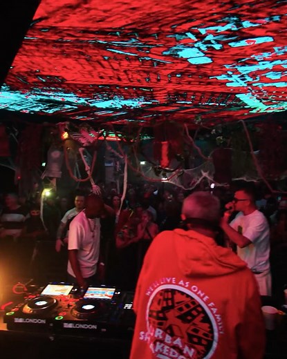 11K views · 314 reactions | Jungle Mania UK on Reels | Facebook