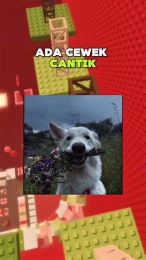 Dasar karbit semuanya diclaim my bini🤨