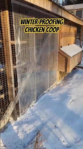 Winter Proofing Chicken Coop #chickencoop #diy #chickens #turkeys #ducks #homestead #farm #winter