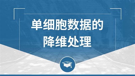 单细胞数据的降维处理