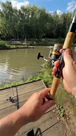 #Fish hunting #animals #fishing#hunting#shorts #viralshort