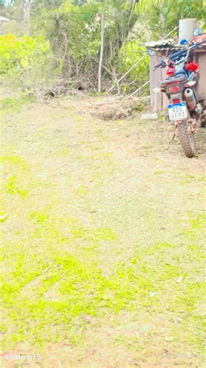 Os vídeos de nadir.j (@nadir.js) com som original - 𝙈𝙖𝙮 𝙍𝙚𝙛𝙡𝙚𝙭õ𝙚𝙨