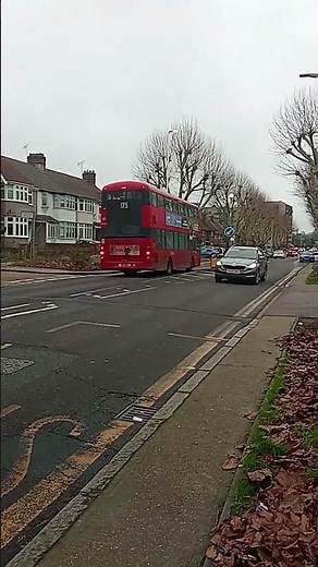 NEW 175 bus route going past
