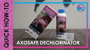 Here's a quick tutorial on how to condition and prepare your aquarium water for your new pet Axie (or if you're performing a water change) by using our NEW AxoSafe Dechlorinator to remove toxins in tap water that are harmful to Axolotls. Make sure your Axolotl's environment is free from chlorine, halogens, chloramine and heavy metals so that it can live happily and healthily. #ntlabs #fishkeeping #howto #tutorial #instruction #aquarium #axolotl #axolotls #axolotllove #waterconditioner #waterchan