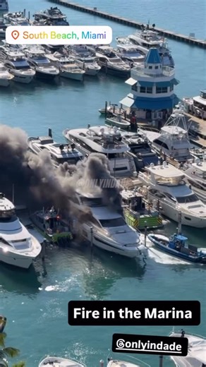 ONLY in DADE on Instagram: "It’s the play by play for us 🛥️🔥🫣| #ONLYinDADE"