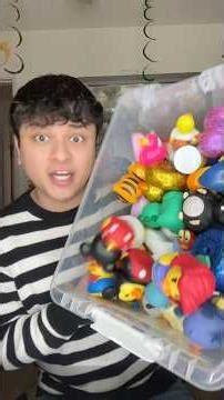 organizing my rubber duck collection on a shelf 🐥 #duck #collection