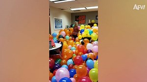 She'll NEVER Use The Bathroom AGAIN! - Funny Pranks - AFV 2020