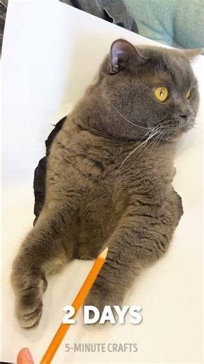 Funny Drawing Tutorials for Beginners! 😅