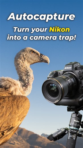 Autocapture - Your Nikon as a camera trap