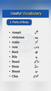 205K views · 1.1K reactions | #English #vocabulary #vocals #spokenenglish #vocabularybuilding #pakistani #englishlearning #Pakistan | English To Urdu Vocabulary | Facebook