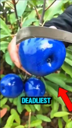 Top 5 Deadliest Fruits That Can Kill You 🍒☠️ #5 is the Most Lethal