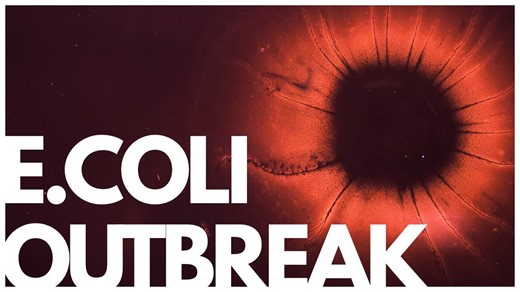 Why Romaine Lettuce Keeps Getting Contaminated With E Coli