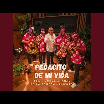 Pedacito de mi vida (feat. Sonora Kaliente de Jorge Amaral)