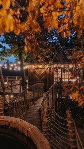 Sweater weather, golden leaves, and a gentle reminder: you deserve a cozy autumn. 🤎 Book available stays at Selah Ridge today! | Selah Ridge Resort