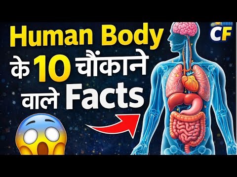 Top 10 Amazing Facts About Human Body | Human Body Facts in Hindi | CurioFacts