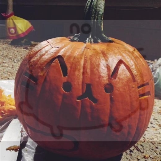 Cutie Pusheen Cat Aesthetic