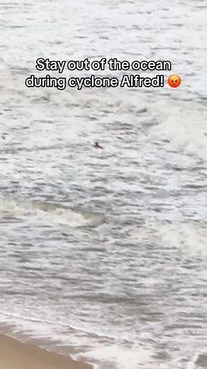 Understanding Cyclone Alfred's Impact on Natural Selection