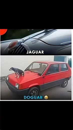 Do you want 1st or 2d