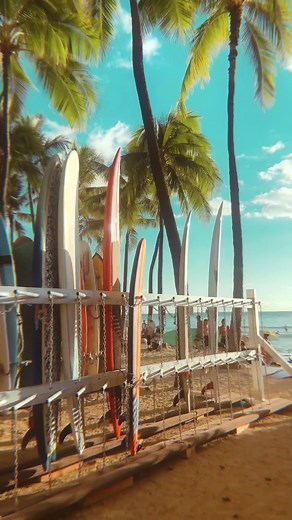 Explore Oahu’s Stunning Beaches and Surfing Spots