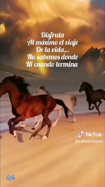 Videos de canvar Vargas (@canvarvargas) con “Es Cosa de Hombres - Alejandro Fernández”