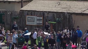 28K views · 311 reactions | Cleared to land in 3, 2, 1... Watch our Southern Ground Hornbill Penny soar over our guests for a very graceful landing at the Wild Encounters Stage Presented by Kimberly-Clark Corporation. | Dallas Zoo | Facebook